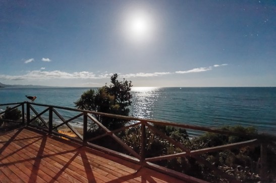 Clear skies, full moon (6)